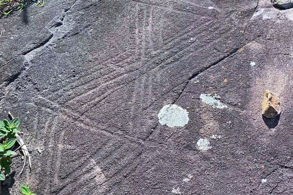 Inscrições rulpestre na Ilha do Campeche