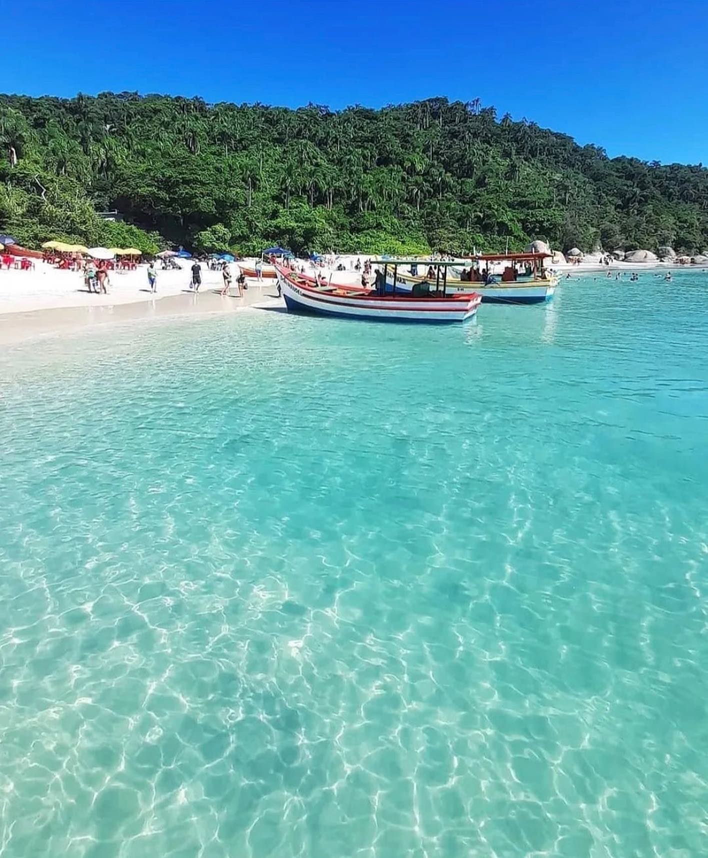 Ilha do Campeche vista de cima, com faixa de areia e embarcações