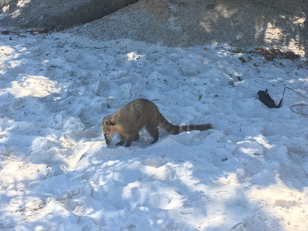 Grupo se organizando para embarque/travessia em passeio para a Ilha do Campeche