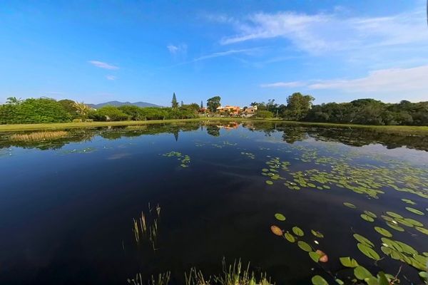 Vista do deck no meio da Lagoa da Chica com vegetação típica de restinga no Campeche.
