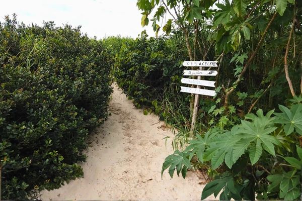 Trilha de areia em volta da Lagoa Pequena, no Campeche.