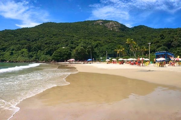 Trecho sul da Praia dos Ingleses com costão ao fundo e faixa de areia mais tranquila.