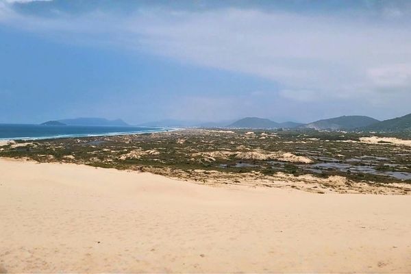 Parque das Dunas da Lagoa da Conceição